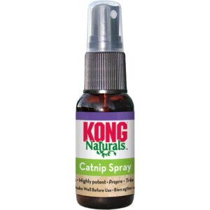 Kong Naturals Catnip Spray, 30 ml