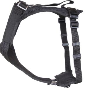 Grossenbacher Geschirr Vary, Schwarz