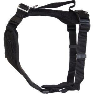 Grossenbacher Welpengeschirr Popp-it, Schwarz