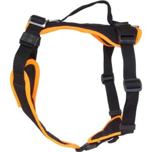 Grossenbacher Welpengeschirr Popp-it, Orange