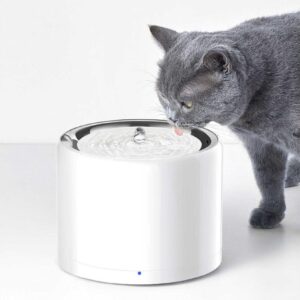 PETKIT Wasserautomat Eversweet Wireless, Weiss, 1.8 l