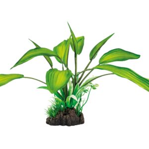 SuperFish Kunstpflanze Cryptocoryne, 25 cm