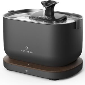 Petlibro Dockstream intelligenter Katzenbrunnen Schwarz