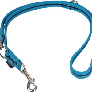 Grossenbacher Hundeleine 180 cm, 25 mm, Schwarz/Türkis