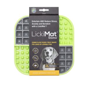 LickiMat Futtermatte Slomo 20 x 20 cm, Grün