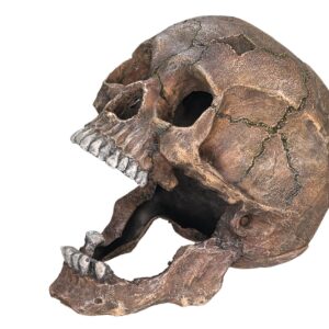 Nobby Aqua Ornaments Totenkopf, 13.5 x 20 x 16.5 cm