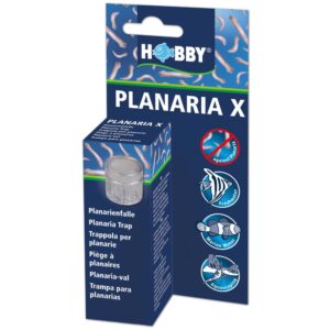 Hobby Aquaristik Zubehör Planaria X