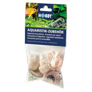 Hobby Aquaristik Dekoration Sea Shells Set, L, 5 Stück