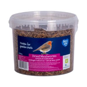 CJ Wildlife Vogelfutter Getrocknete Mehlwürmer, 900 g