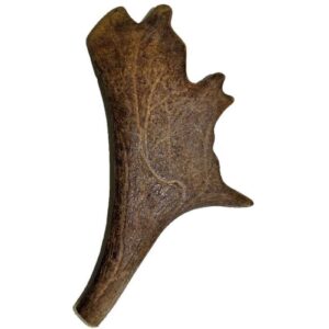 kyli Damhirschschaufel, Gr. L