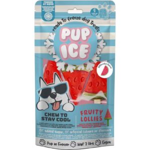 PUP ICE Leckerli Fruity Lollies Melone, 3 Stück, 90g