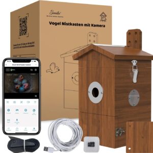 Sanilu Vogel Nistkasten mit Kamera