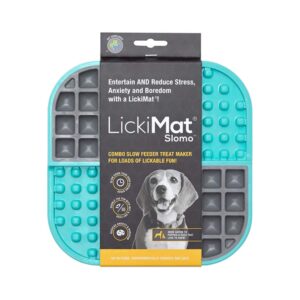 LickiMat Futtermatte Slomo 20 x 20 cm, Türkis