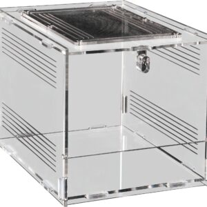 Repto Terrarium Plexi, 20 x 15 x 15 cm