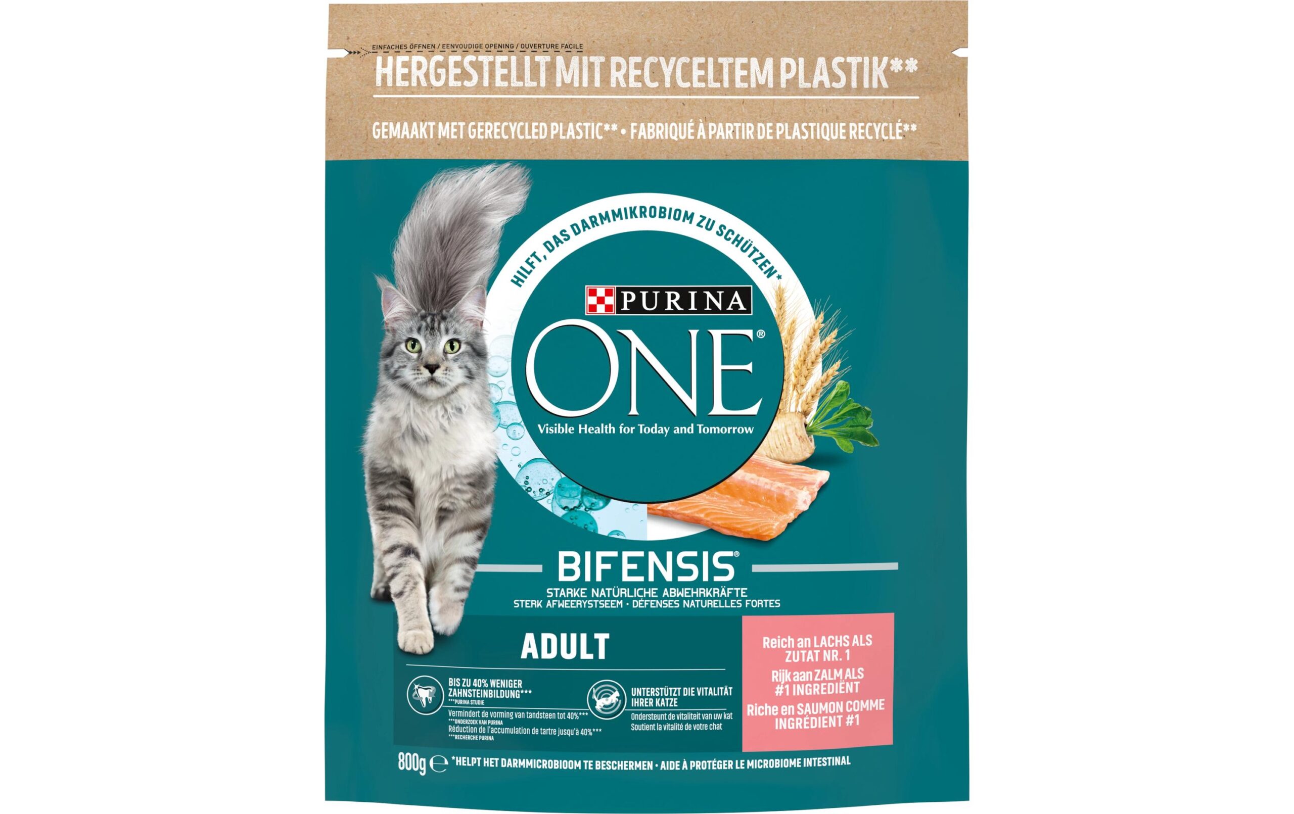 Purina ONE Trockenfutter Adult Lachs & Vollkorn, 800 g