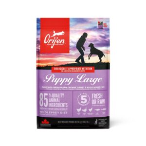 Orijen Trockenfutter Dog Puppy Large mit Geflügel, 6 kg