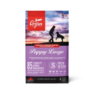 Orijen Trockenfutter Dog Puppy Large mit Geflügel, 11.4 kg