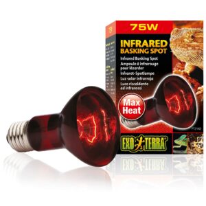 Exo Terra Terrarienlampe Infrared Basking Spot E27, R20/75W
