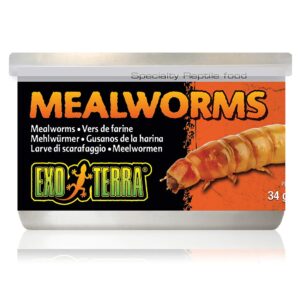 Exo Terra Dosenfutter Mealworms, 34 g