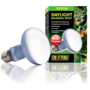 Exo Terra Terrarienlampe Daylight Basking Spot E27, R25/100W