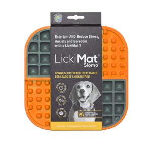 LickiMat Futtermatte Slomo 20 x 20 cm, Orange