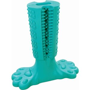 Nobby Hunde-Spielzeug Dental Stick, 13 x 14.5 cm, Mint