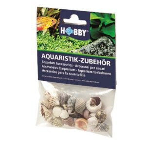 Hobby Aquaristik Dekoration Sea Shells Set, S, 20 Stück