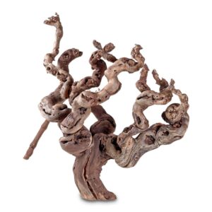 Hobby Terraristik Weinrebenwurzel ca. 30 cm