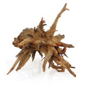 AMAZONAS Dekoration Corbo-Wurzel S, 30-40 cm