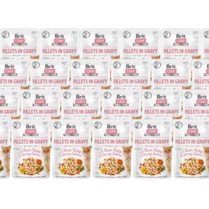 Brit Nassfutter Care Fillets Sauce Truthahn & Lachs, 24 x 85 g