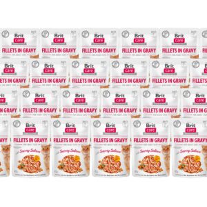 Brit Nassfutter Care Fillets Sauce Lachs, 24 x 85 g