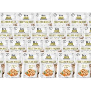 Brit Nassfutter Care Fillets Gelée Forrelle & Kabeljau, 24 x 85 g