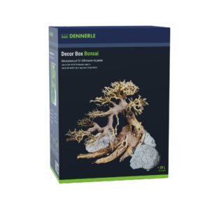 Dennerle Dekoration Bonsai Box