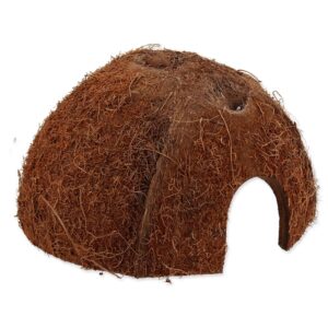 Repti Planet Coco Schale M