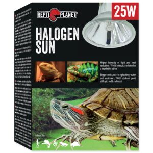 Repti Planet Terrarienlampe Halogen Spot 25 W