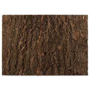 Repti Planet Kork-Rück Wand 58.5 x 41 x 2 cm