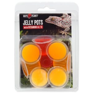 Repti Planet Gelee-Töpfe, Frucht, 8 Stück