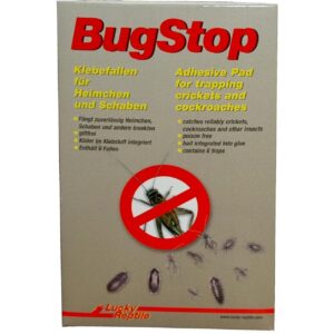 Lucky Reptile Bug Stop Heimchen Klebefalle, 6 Stück