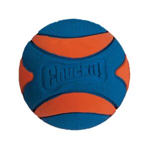 Chuckit! Hunde-Spielzeug Ultra Squeaker Ball S, Ø 5.5 cm