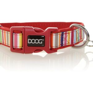 Doog Halsband Scooby S Multicolor gestreift