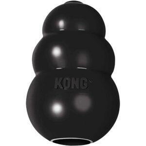 Kong Hunde-Spielzeug Extreme Ø 7 cm, Schwarz