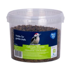 CJ Wildlife Schwarze Soldaten Fliegen (BSF) 600 g Eimer