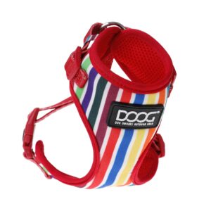Doog Geschirr Neoflex Scooby M Multicolor gestreift