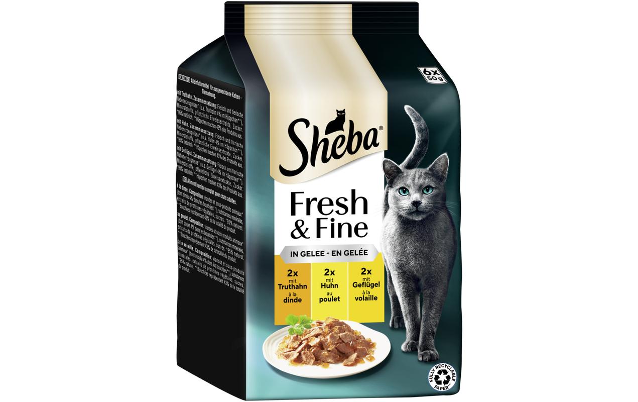 Sheba Nassfutter Gelee mit Truthahn, Huhn und Geflügel, 6 x 50g