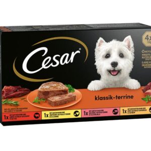 Cesar Nassfutter Klassik-Terrine Schale 4 x 150 g