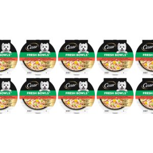 Cesar Nassfutter Fresh Bowls Huhn, Karotten 10 x 85 g