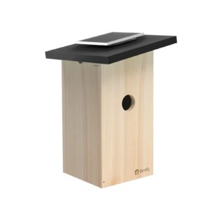 Birdfy Vogelhaus Nistkasten mit Kamera und Solar