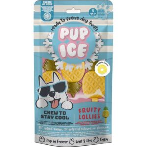 PUP ICE Leckerli Fruity Lollies Ananas, 3 Stück, 90g