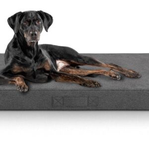 Knuffelwuff Orthopädische inkontinenz Hundematte Lenie L, Grau