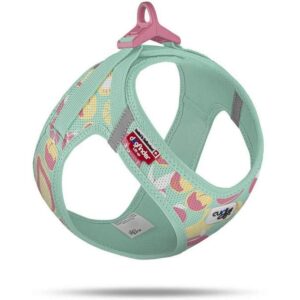 curli Geschirr Vest Air-Mesh LE26 XS Juicy Fruits Türkis